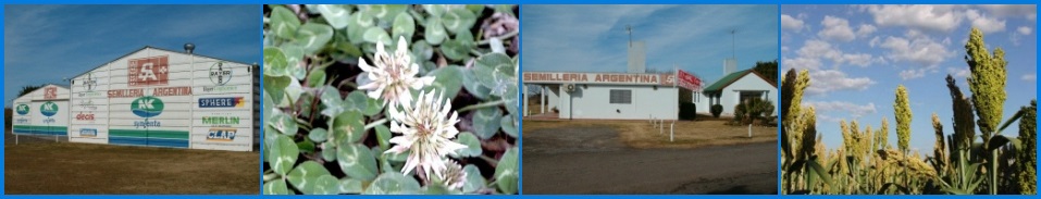 Galeria de Fotos