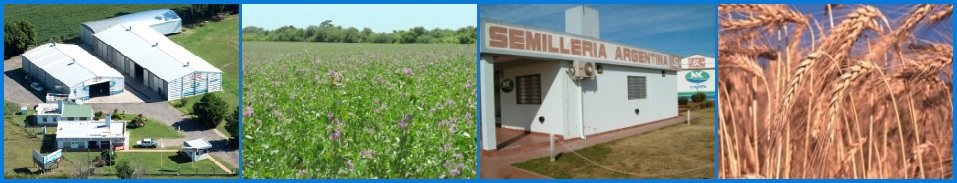 Galeria de Fotos